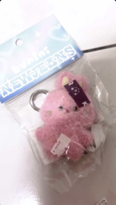 NEWJEANS bunini 吊娃
