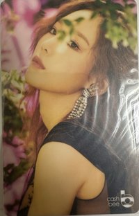 Lil' Touch 交通卡 