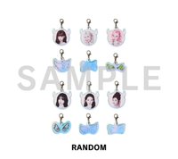 隨機迷你吊飾套組