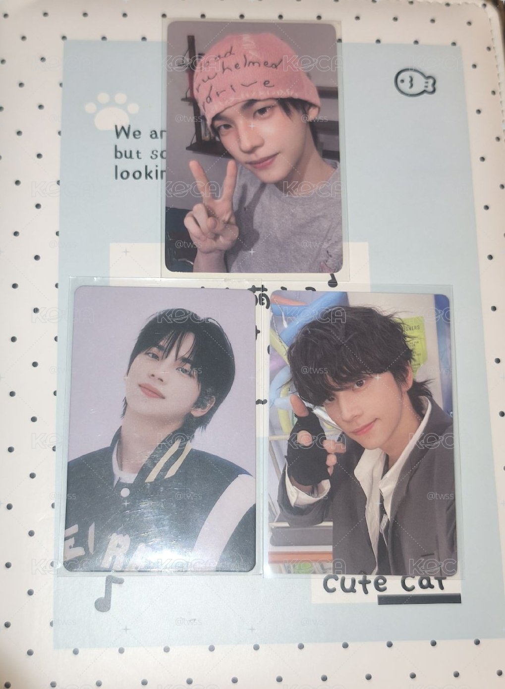 快帶申惟回家！！！