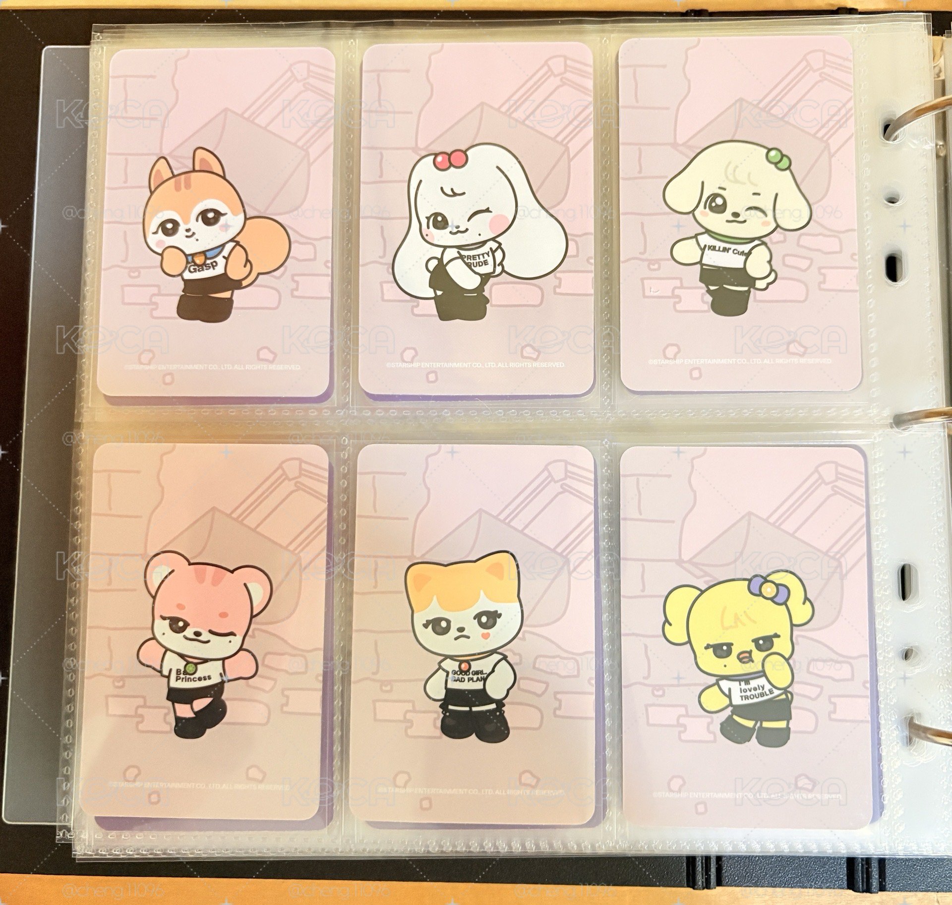 SECRET sw5.0一套 現貨（MINIVE卡背