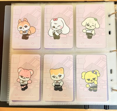 SECRET sw5.0一套 現貨（MINIVE卡背