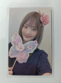 kms蝴蝶扇子