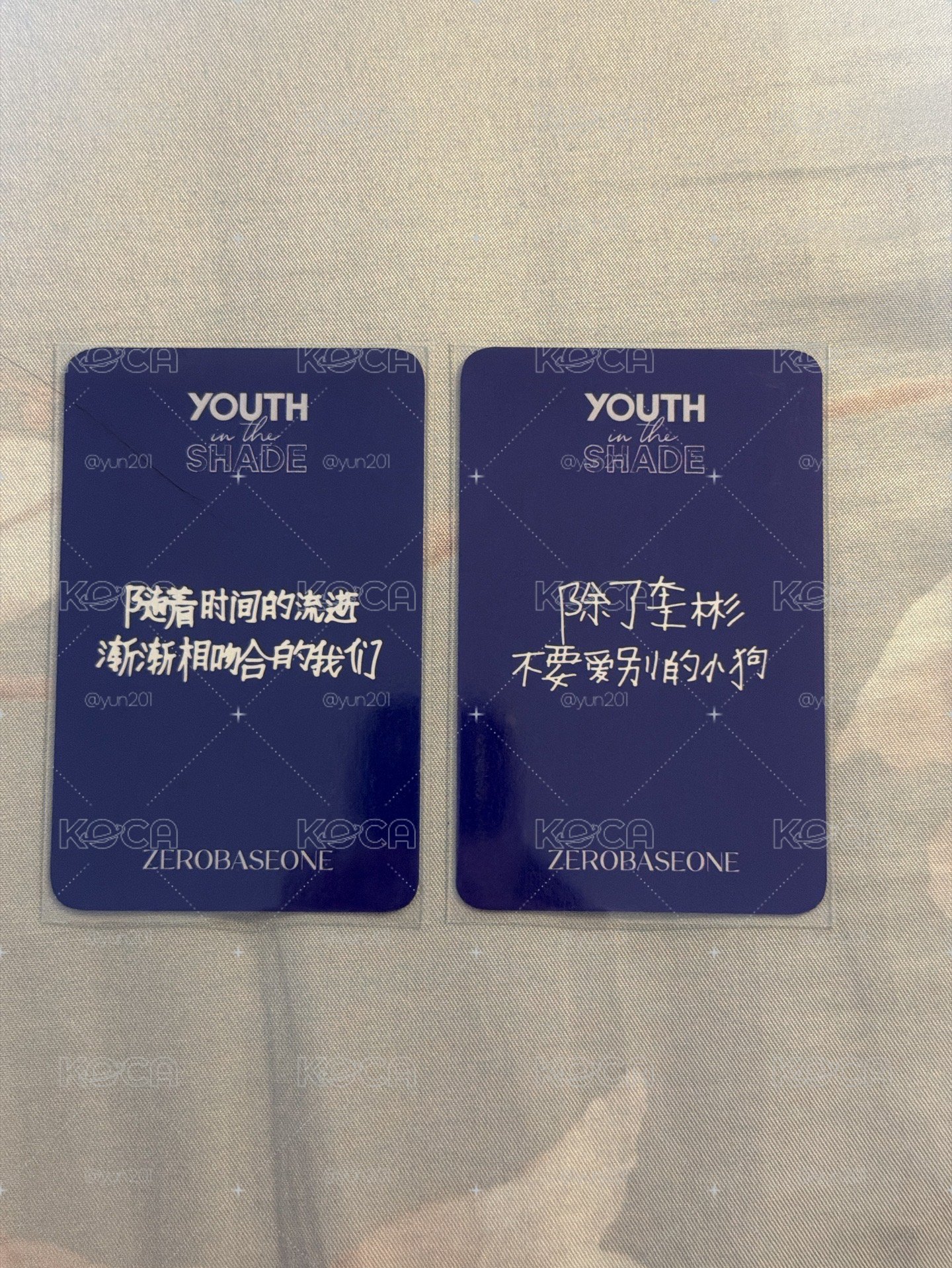 ZB1 中背卡 金地雄 金奎彬