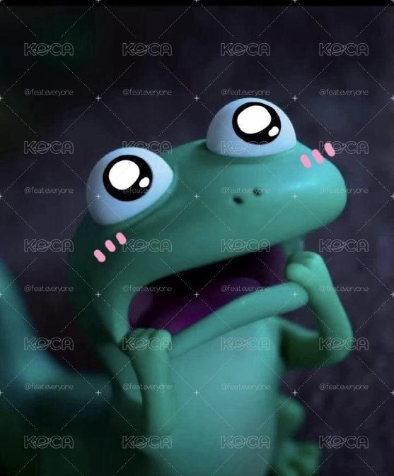 純SVT奎福袋