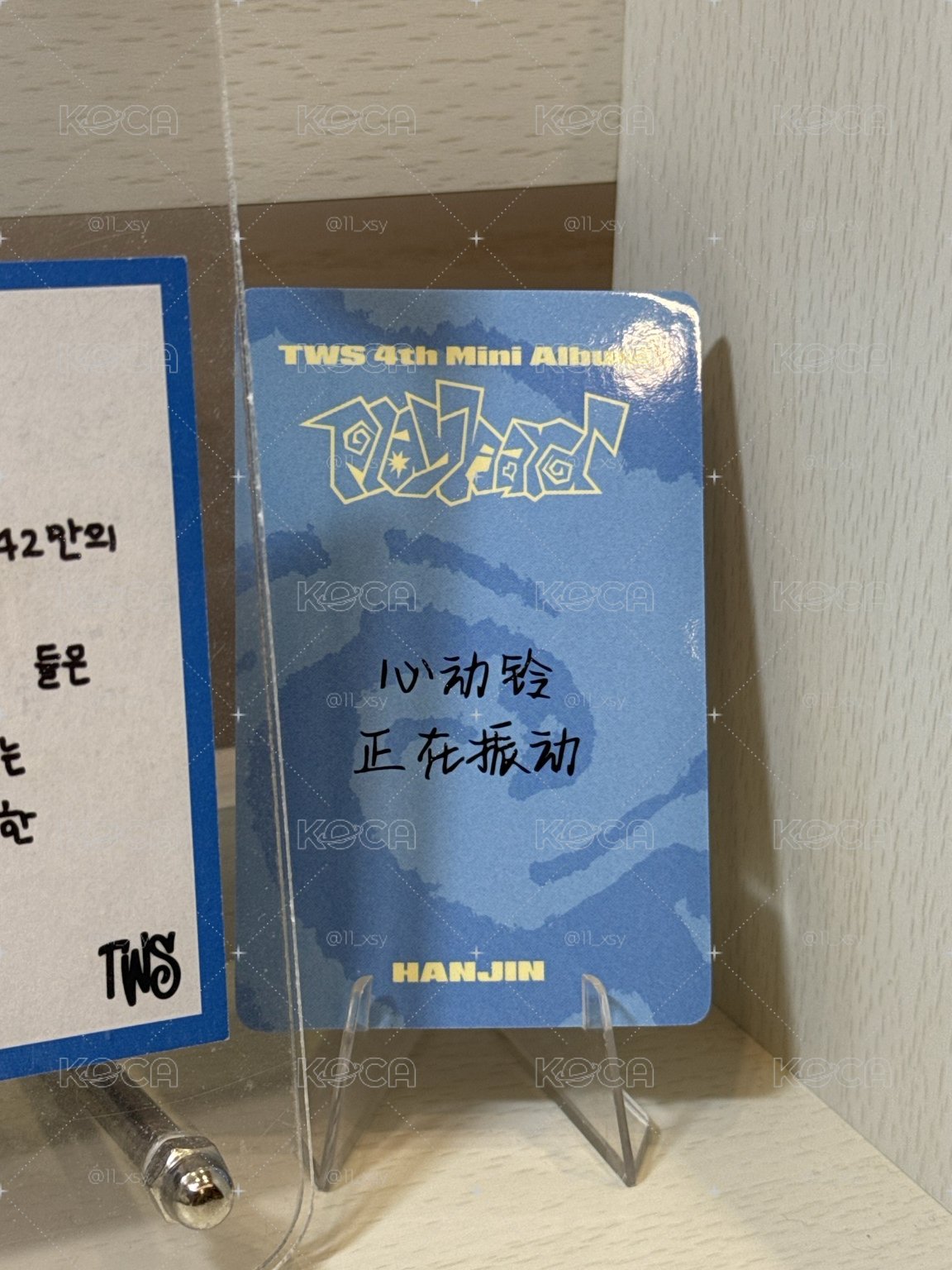 珍珍中背