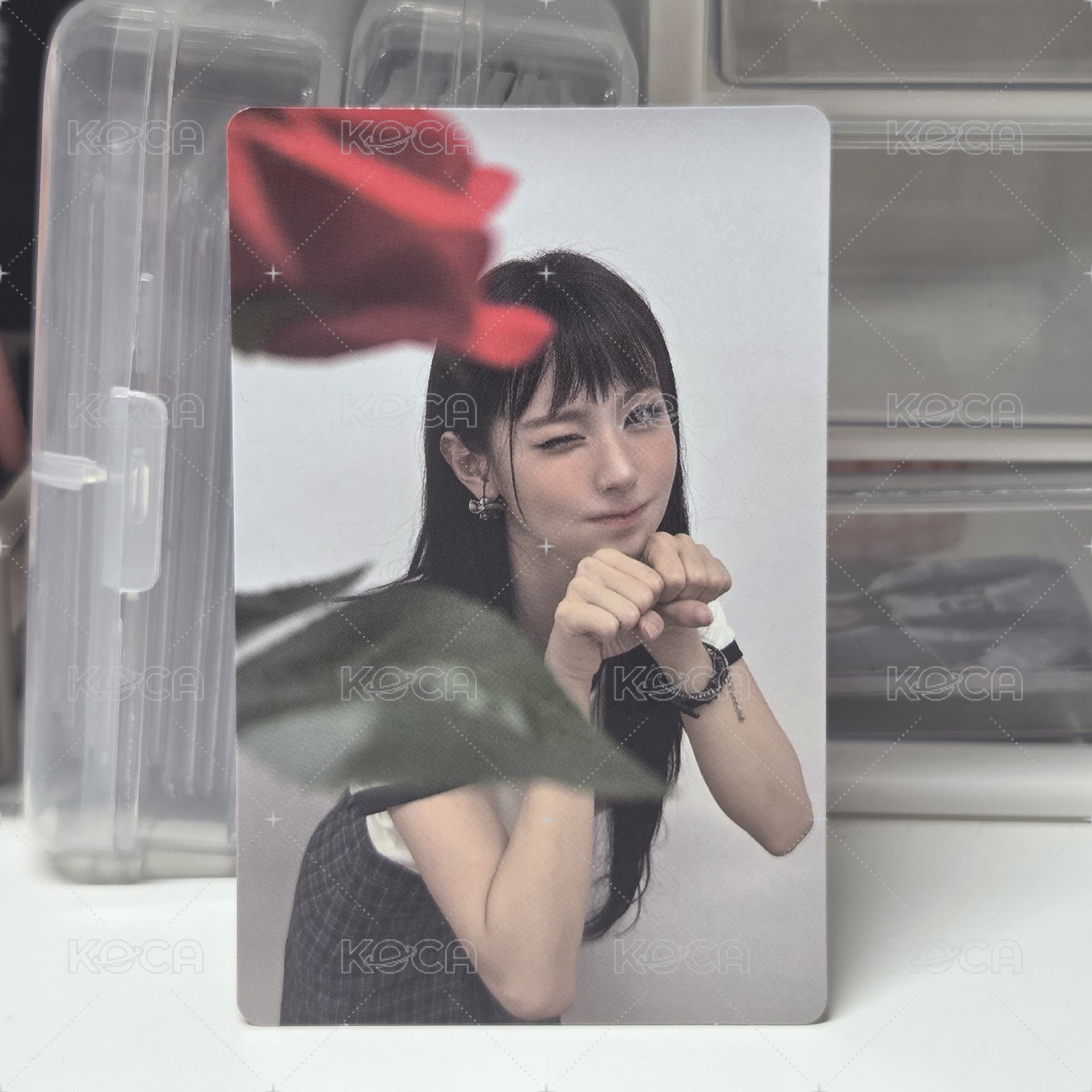 麵solo 玫瑰花