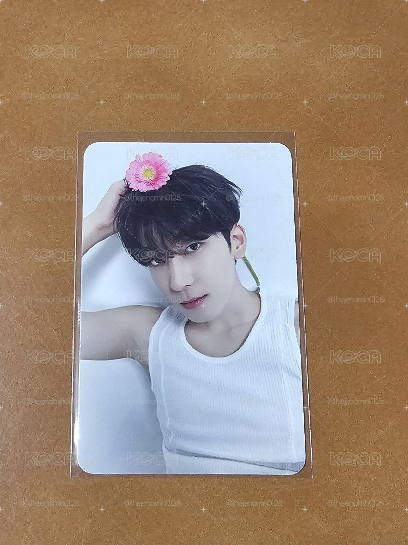 精選專 專輯卡 CARAT ver.