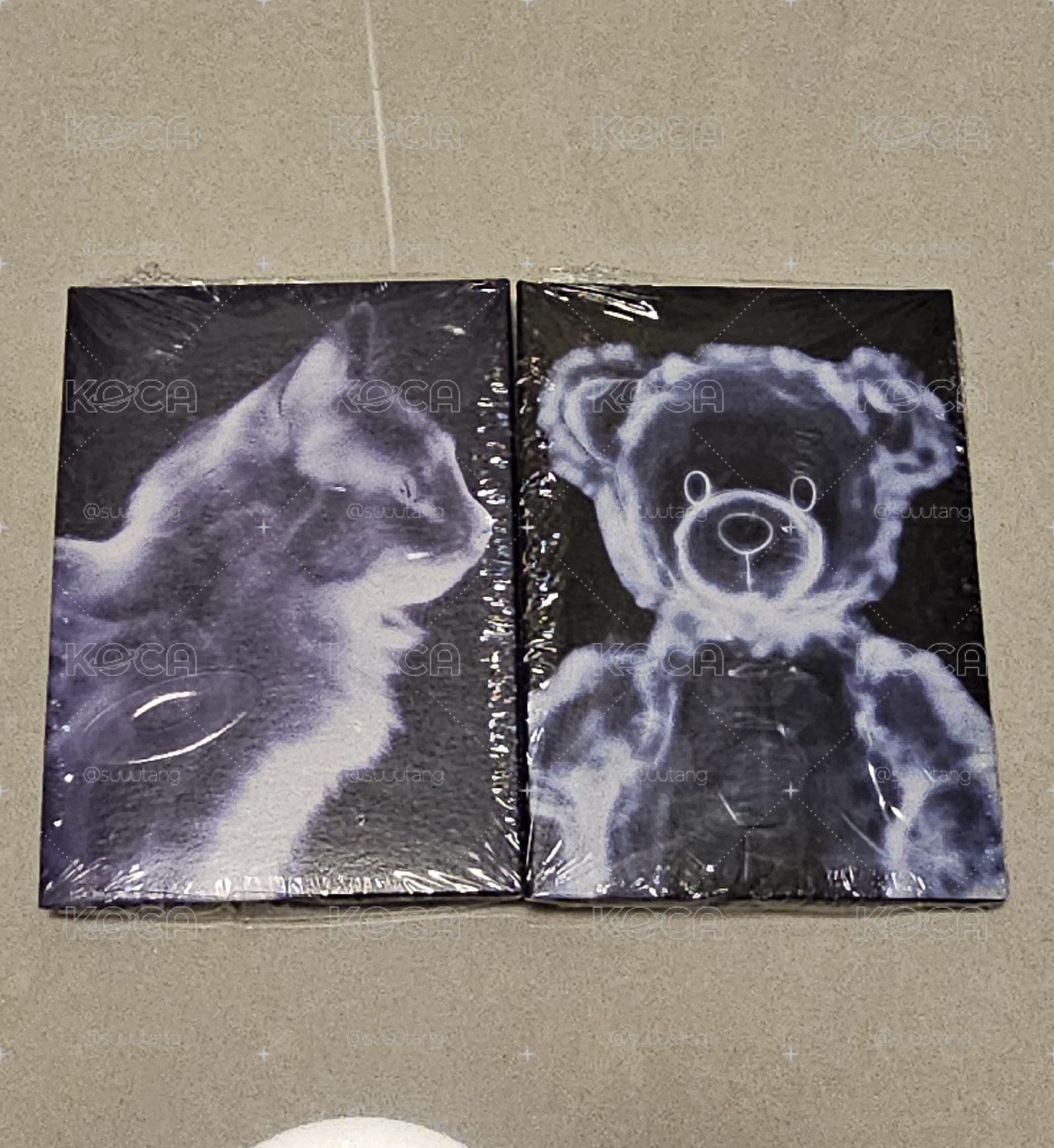 現貨 crazy電子專 未拆專一套