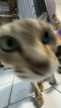 Yunnn