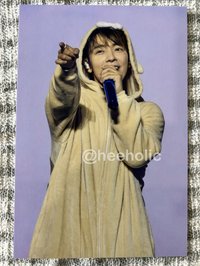 狗狗海