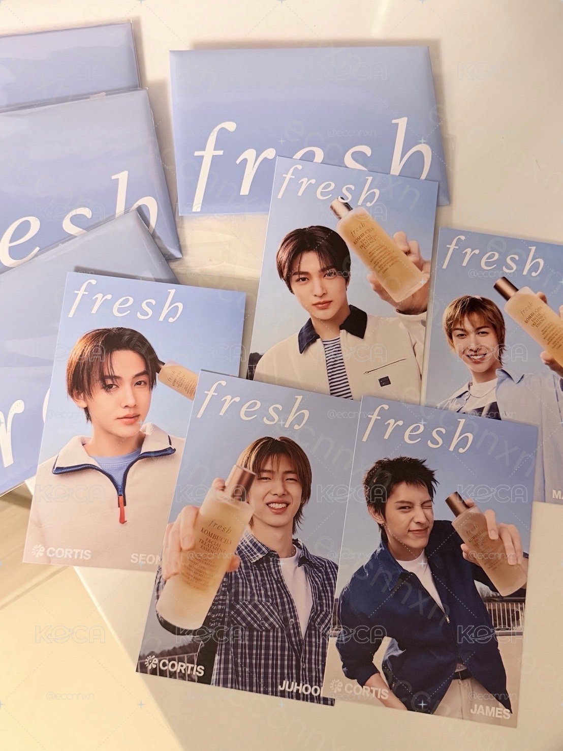 fresh明信片單成員 現貨