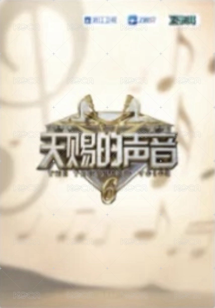 天賜 1.0 溯音包 C級卡 隨機卡 音樂檔案卡-飛行 背面