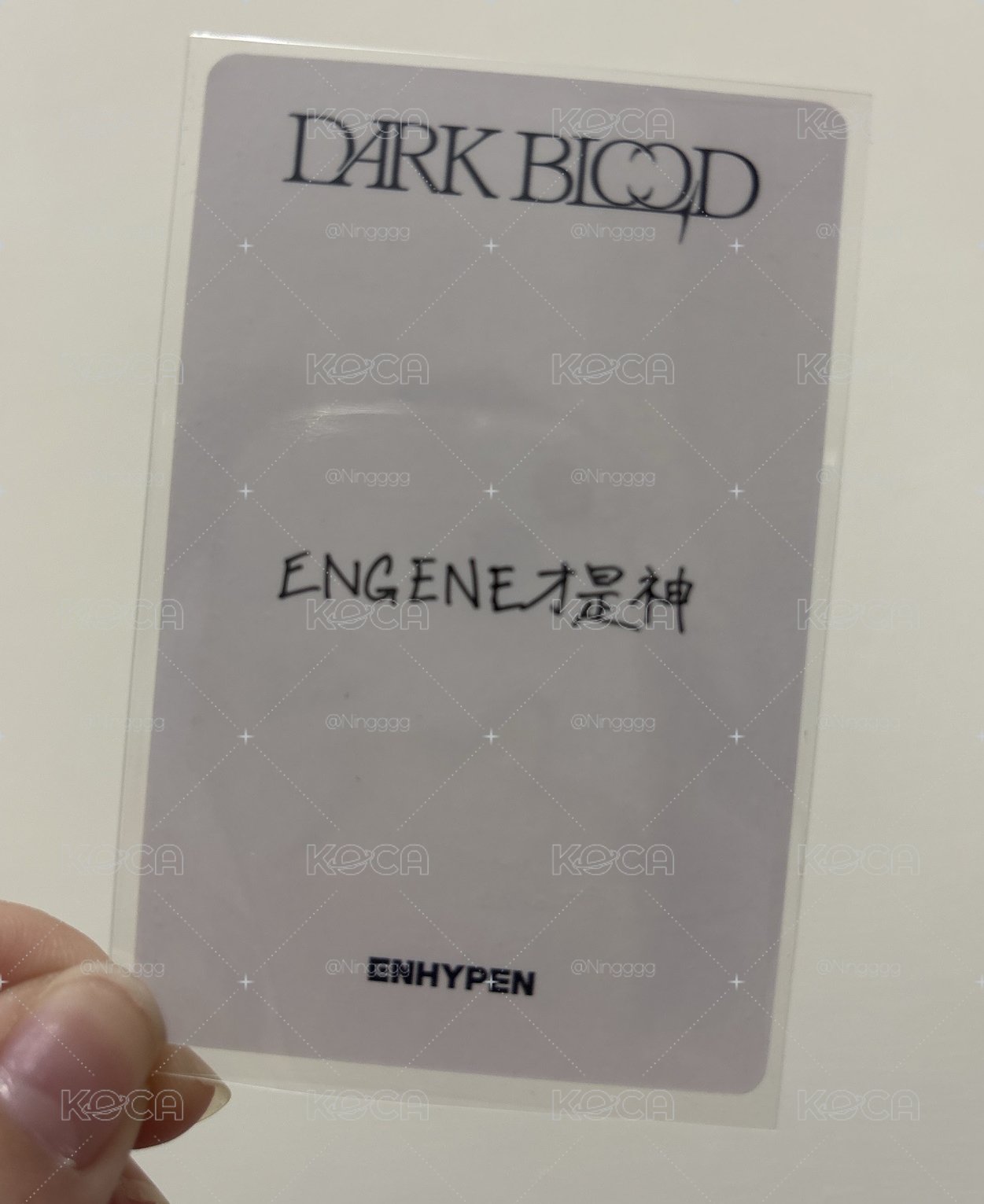迷四 一直娛5.0 青島中文卡背 力
