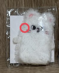 辰（圈起來的地方有小髒污）
