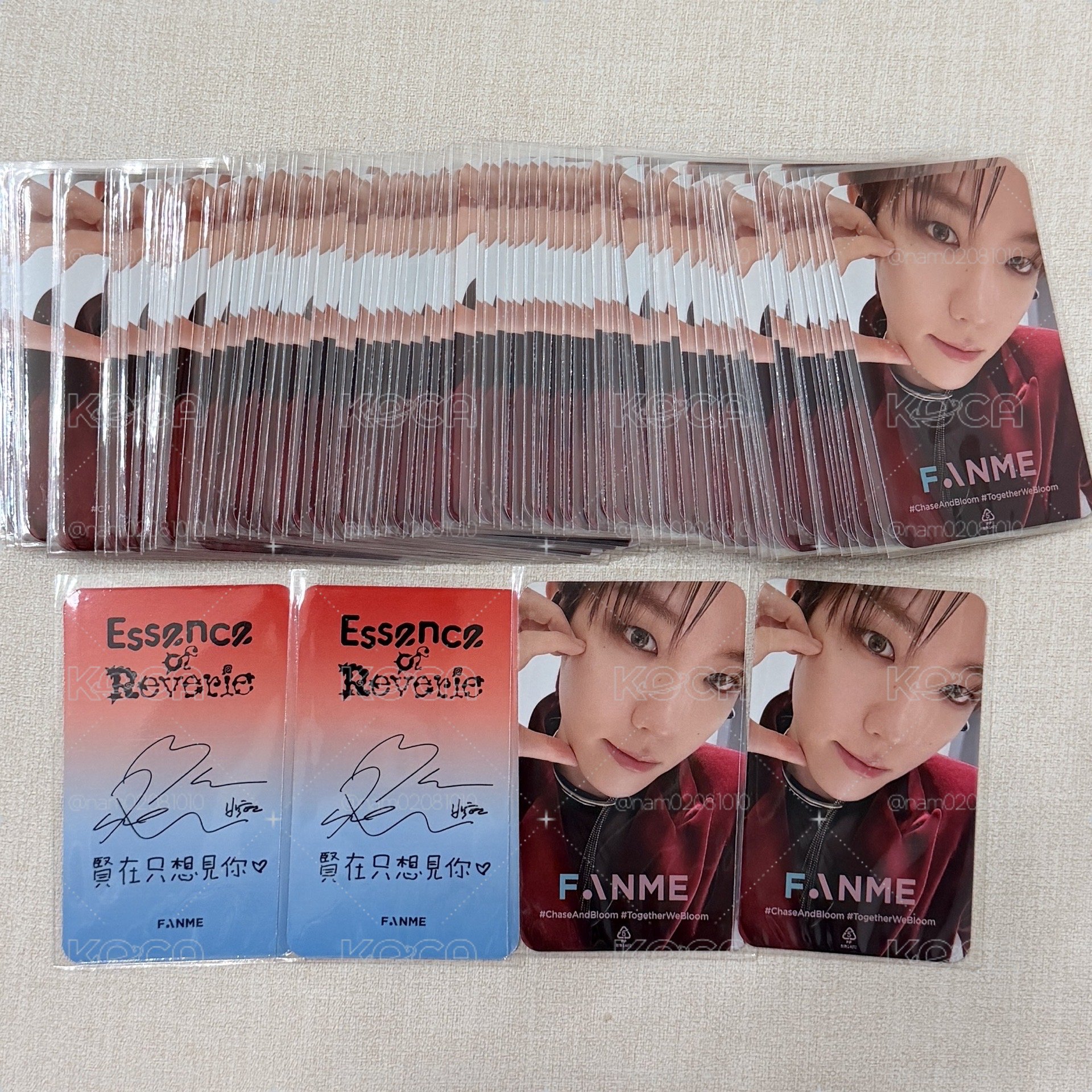 bolo5 fanme 臺北 簽售卡 