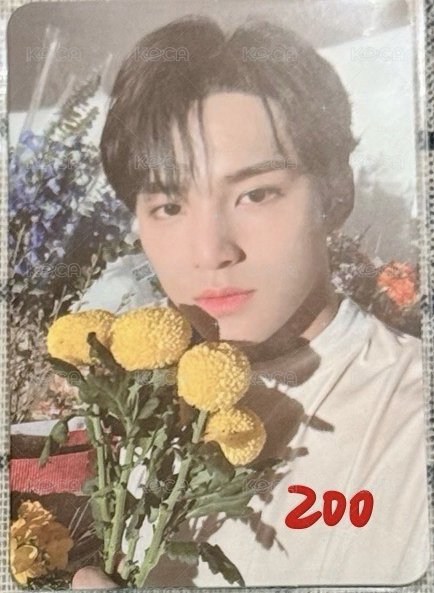 迷8捧花奎💐