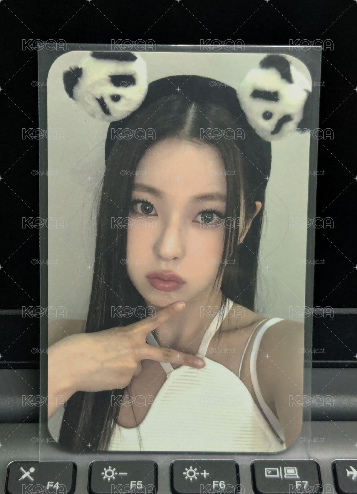 特典🐳