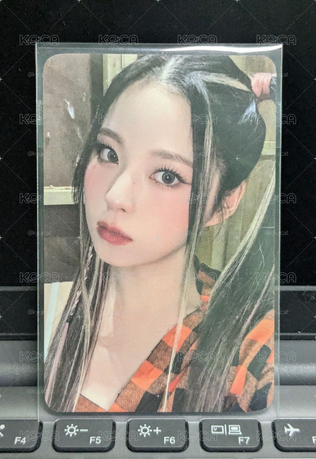 特典🐳