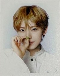 Ode to Love 隨機卡 證件照