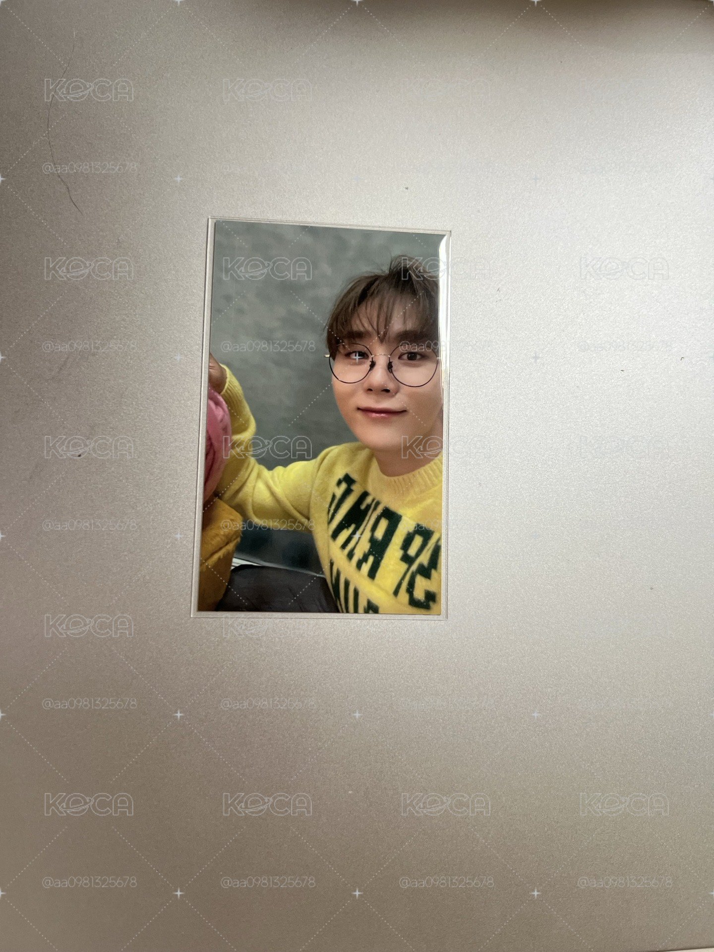 POL環球特典寛