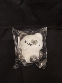 禮志