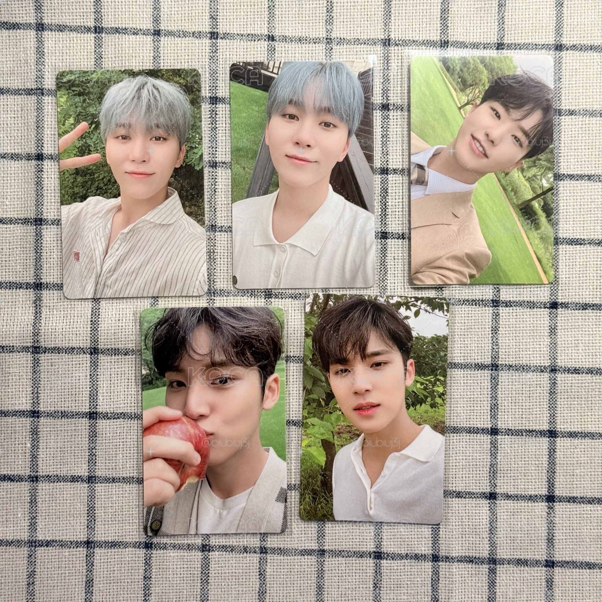 SVT Social Club傳家寶