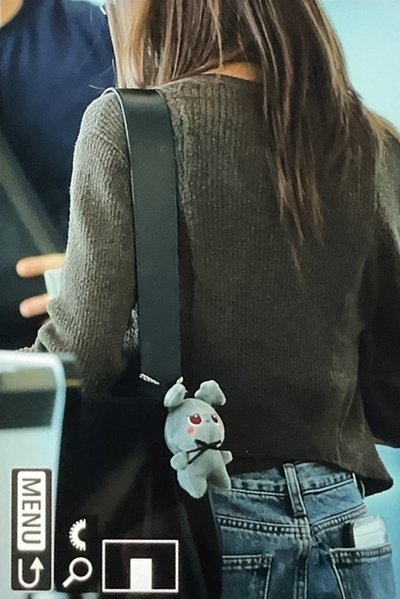Hare Hare 1004 閃電娃 （TWICE背過同款娃）
