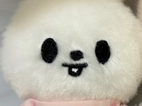 兔🐰