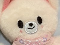 狐狸🦊