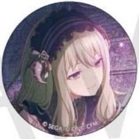 細閃 vol.54 B 徽章 挑戰花後