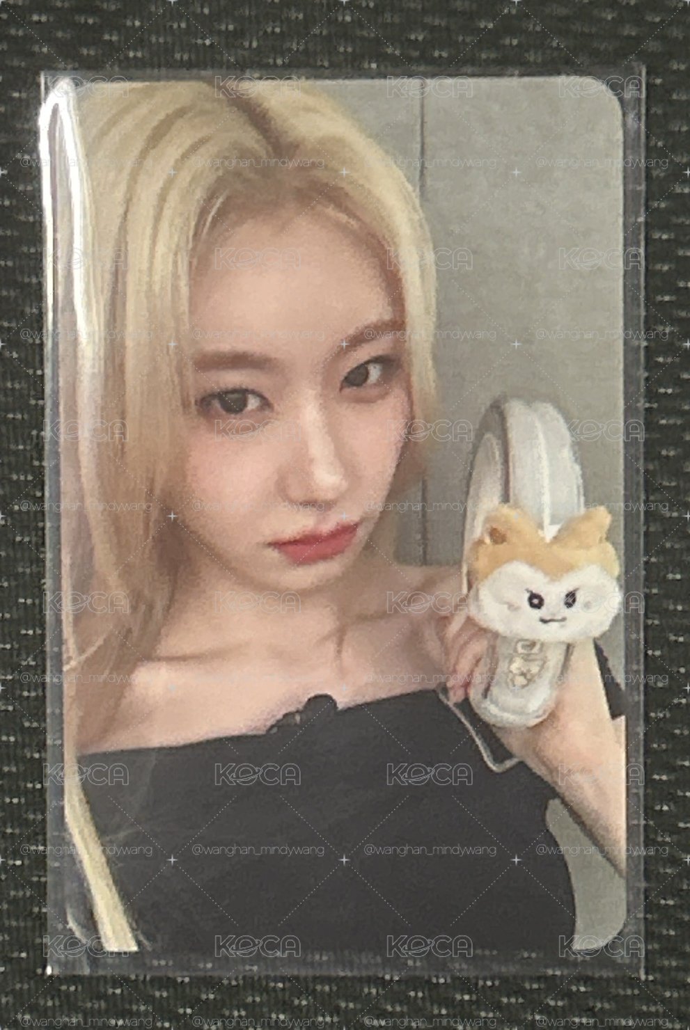 彩領