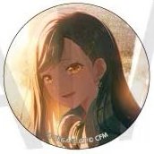 細閃 vol.53 A 徽章 wl2花前