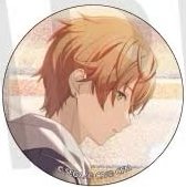 細閃 vol.53 A 徽章 wl2花前