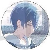 細閃 vol.53 A 徽章 wl2花前