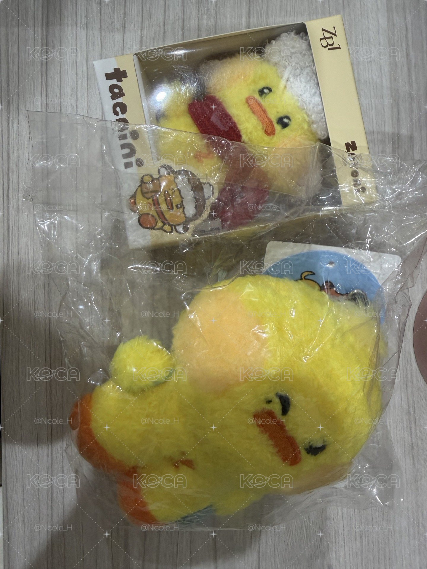 冬季娃 背包娃 泰來