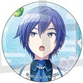 細閃 vol.51 A 徽章 新年花前