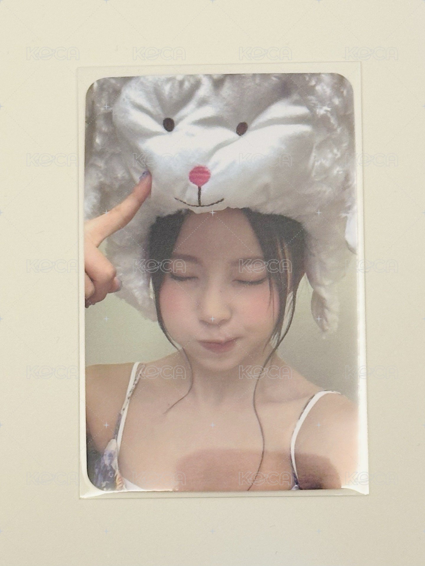 倉鼠 圭