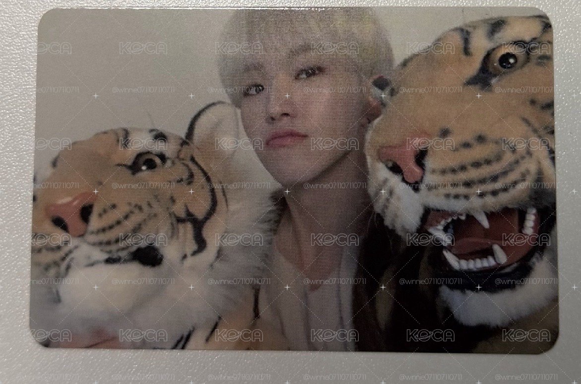 三虎榮 Seventeen Hoshi 