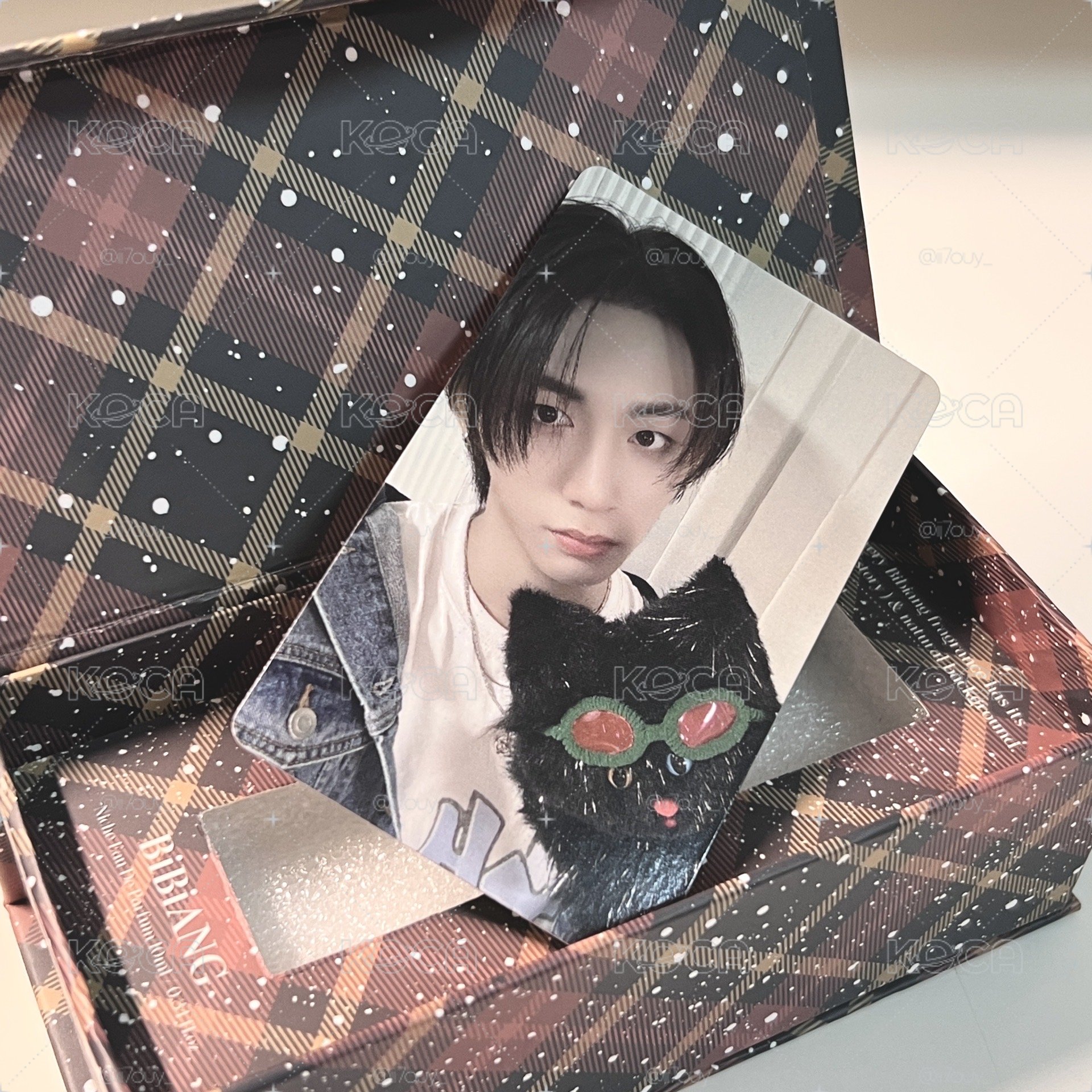 帶走我就等於收留了兩隻貓