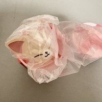 🦊寅