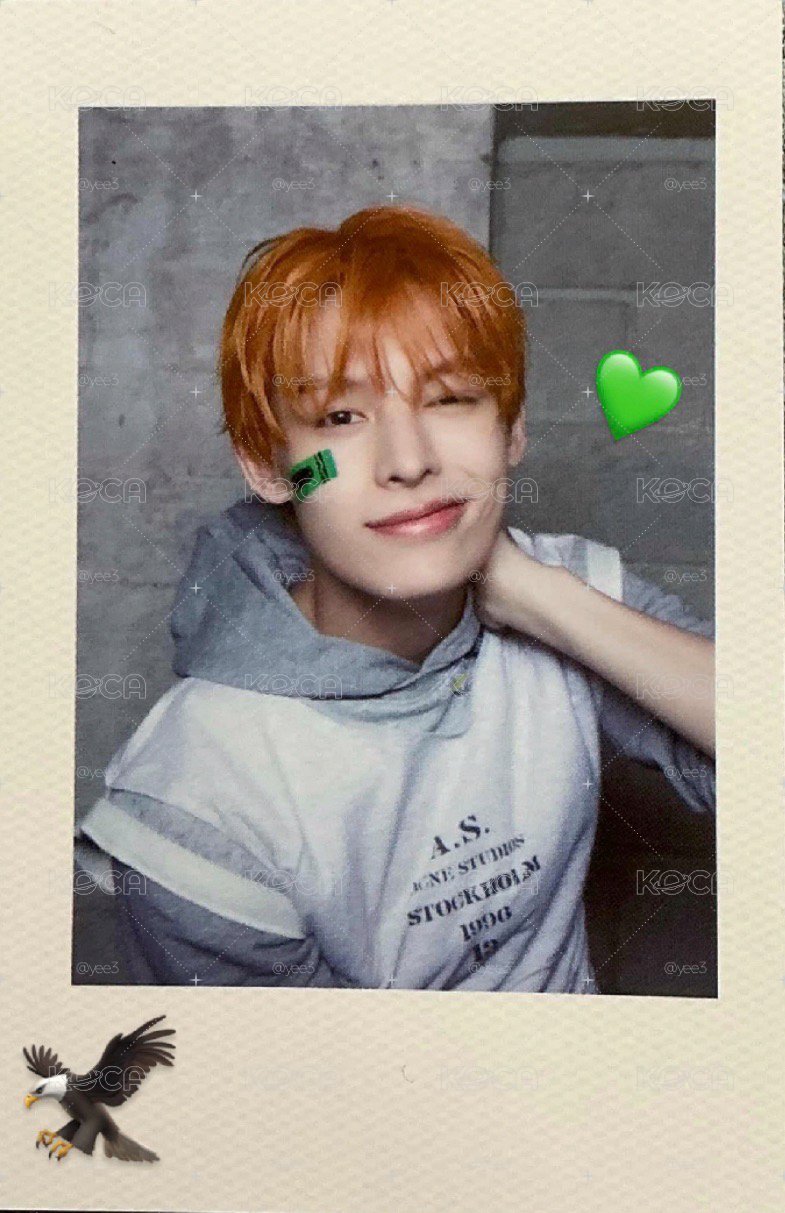 md拍立得凡💚🦅
