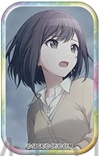 方徽 vol.36 B 徽章 演劇花前