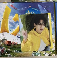 mini11克拉盤🐶