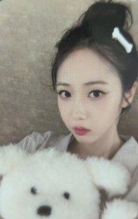 正一 hl 預購 狗狗 特典卡 