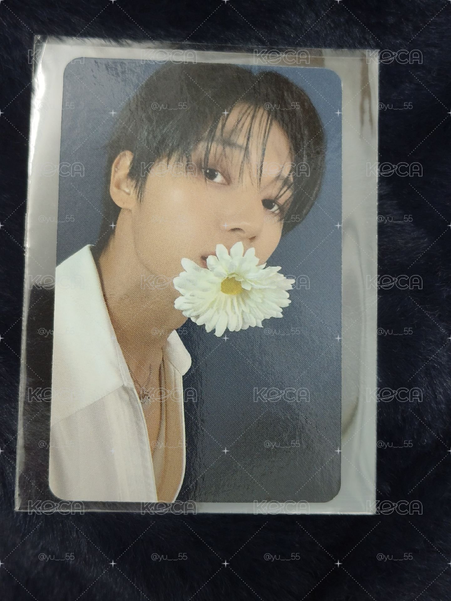 GH4 am🌼 榮特典