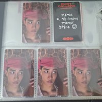 羊角金栗