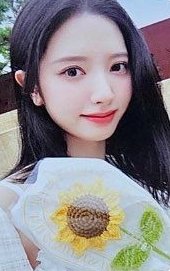 2025 SEASON’S GREETINGS [SUNFLOWER]  星船 特典卡 