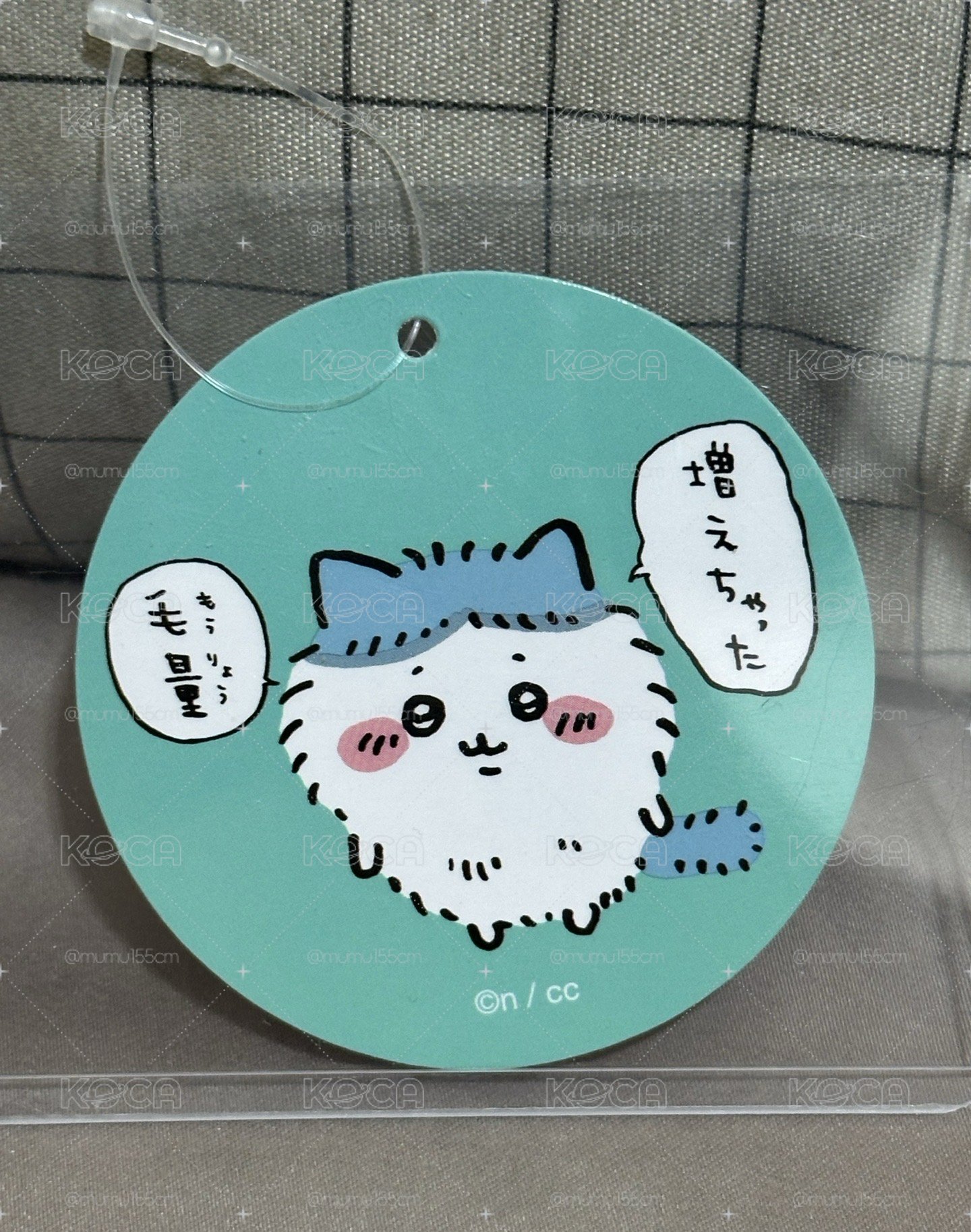 長毛小八🩵