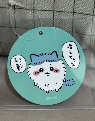 長毛小八🩵